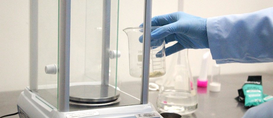 Nas indústrias alimentícias, setor de qualidade garante excelência nos pequenos detalhes